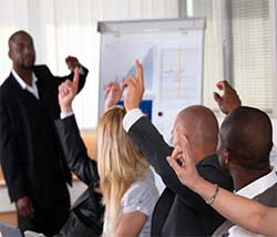 Facilitation Services